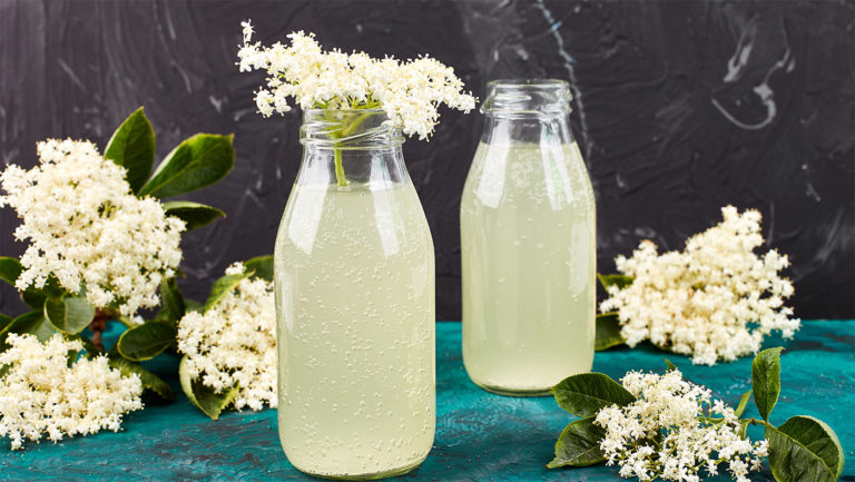 Bodza szörp a kép illusztáció