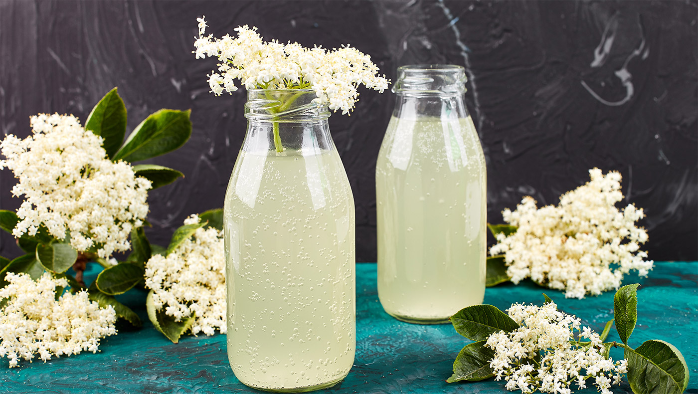 Read more about the article Itt belekukkanthatunk a bodza szörp készítés rejtelmeibe!